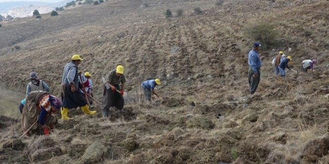 Mersin’de Ağaçlandırma Çalışmalarında Hedef Aşıldı