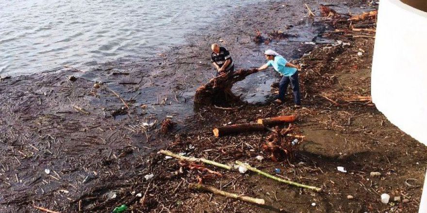 Kışlık Odunlarını Denizden Çıkardılar