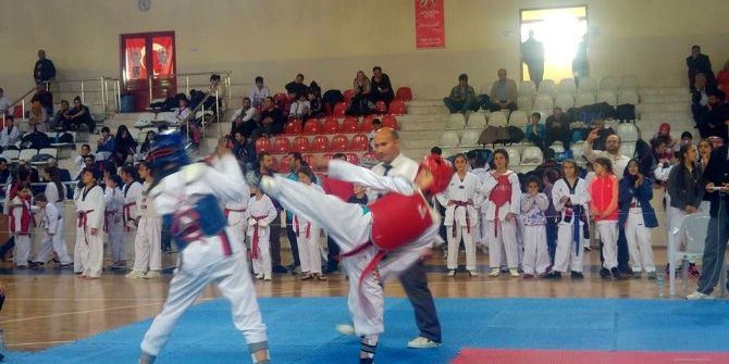 Mudanya’da Tekvando Şampiyonası