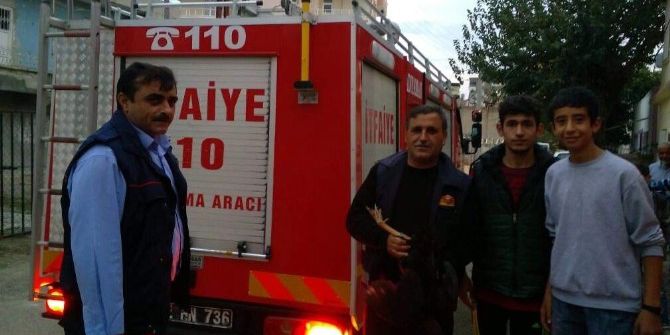 Boru İçerisine Sıkışan Tavuk İtfaiye Ekipleri Tarafından Kurtarıldı