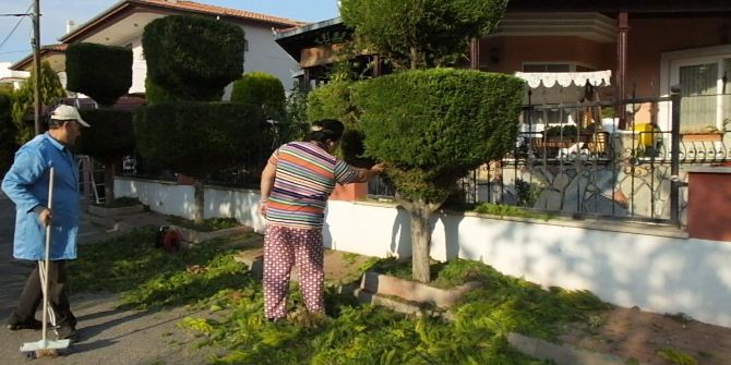 Burhaniye’de Vatandaşlar Ağaçları Tablo Gibi Yaptı