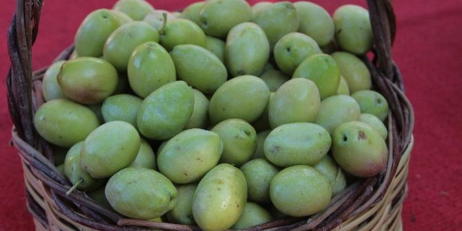 Zeytin Fiyatları Yükseldi Üreticinin Yüzü Güldü