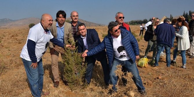 Foça’ya 13 Bin Adet Cumhuriyet Fidanı