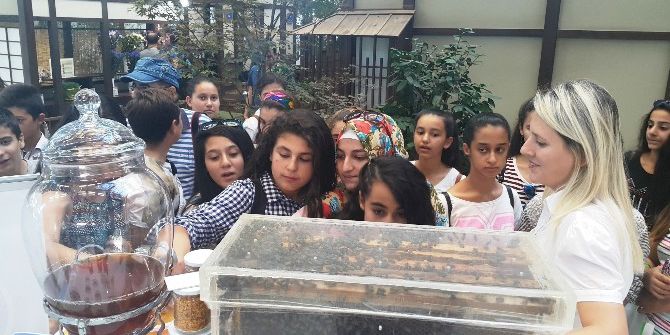 Düzce Üniversitesi Antalya’da Büyük İlgi Gördü