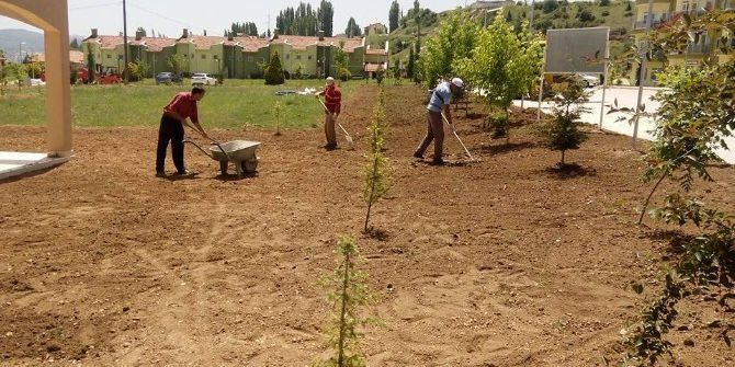 Hisarcık Belediyesi’nden Çimleme Çalışması