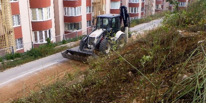Yıllardır Atıl Durumdaki Otluk Alan Çok Amaçlı Bir Park Haline Getirilecek