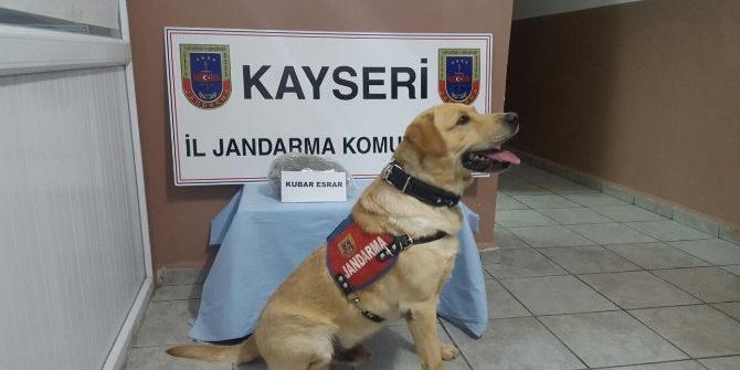 Jandarma’dan Uyuşturucu Operasyonu