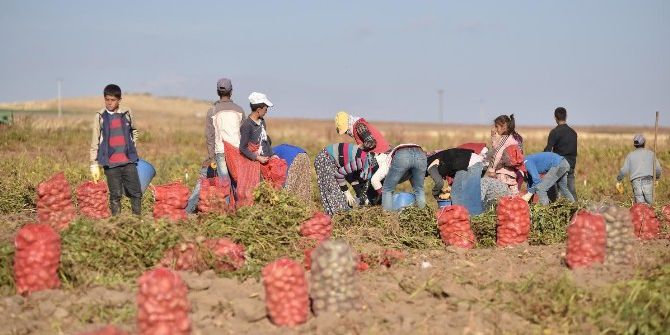 Patates Üreticileri Dertli