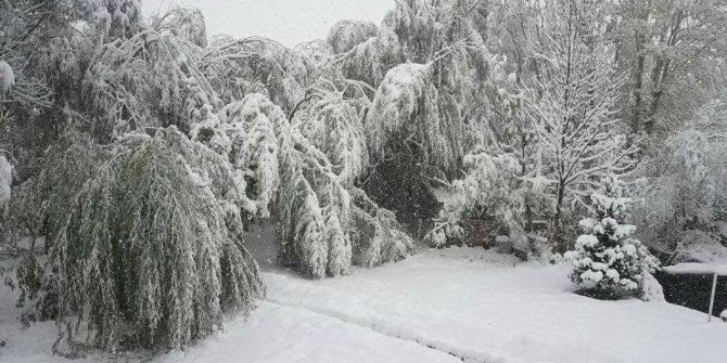 Iğdır’da Kar Yağışı