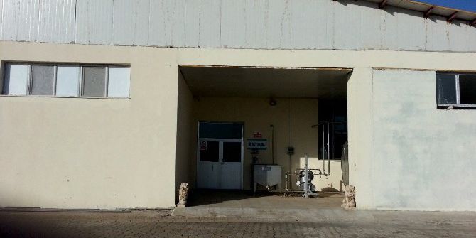 Muş Kaşarı Dünyaya Tanıtılacak