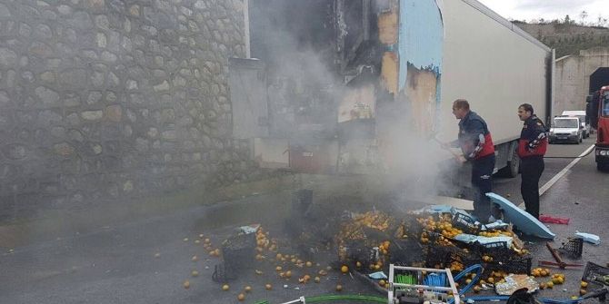 Narenciye Yüklü Tır Alev Aldı