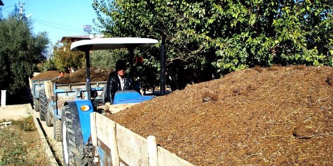 Sarıgöl Üzüm Bağlarına Doğal Gübre