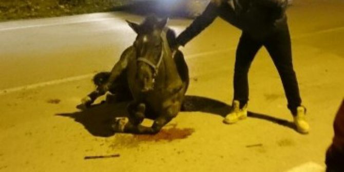 Bursa’da At Kazası