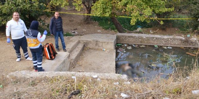 Sulama Havuzunda Ölü Bulundu