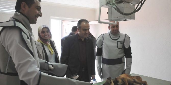 İnegöl’de 128 Hayvan Sahiplendirildi