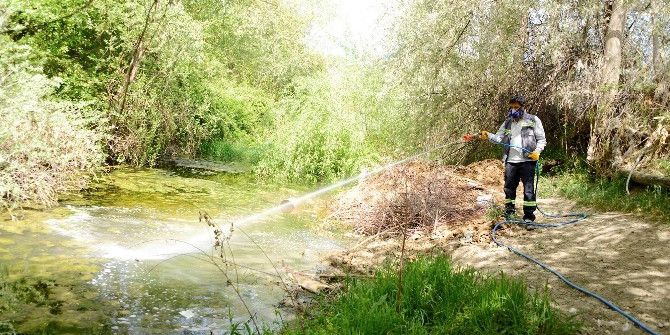 Meram’da İlaçlama Sezonu Tamamlandı