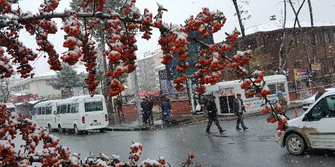 Tatvan Beyaza Büründü