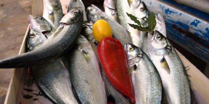 Lapseki’de Balık Fiyatları Ucuzladı