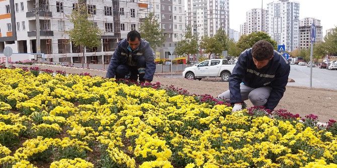 Talas, Mevsiminin Çiçekleriyle Renklendi