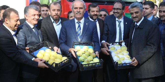 Bursa’dan Hollanda’ya Armut Ve Ayva İhracatı Başladı