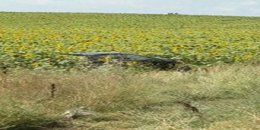 Otomobil Tarlaya Uçtu : 7 Yaralı