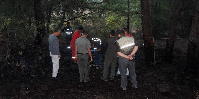 Mangal Yaparken Orman Yangını Çıkardılar