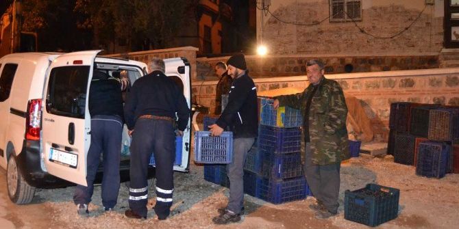 Zeytin Üreticisi De, Tüccarı Da Mutsuz