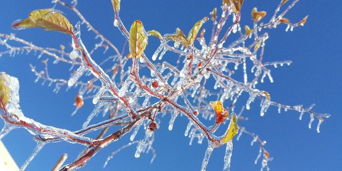 Burası Sibirya Değil Tatvan