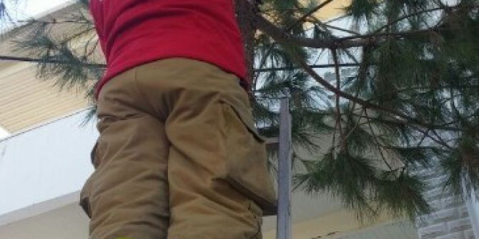 Ağaçta Mahsur Kalan Kediyi İtfaiye Kurtardı