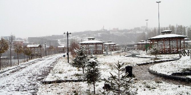 Ardahan’da Kar, Yerini Buzlanma Ve Dona Bıraktı