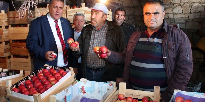 Niğdeli Elma Üreticileri Destek İstiyor