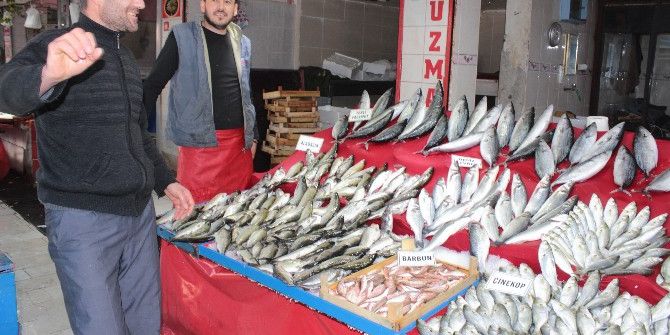 Balık Pazarı’nda Deniz Ürünleri Çeşitliliği