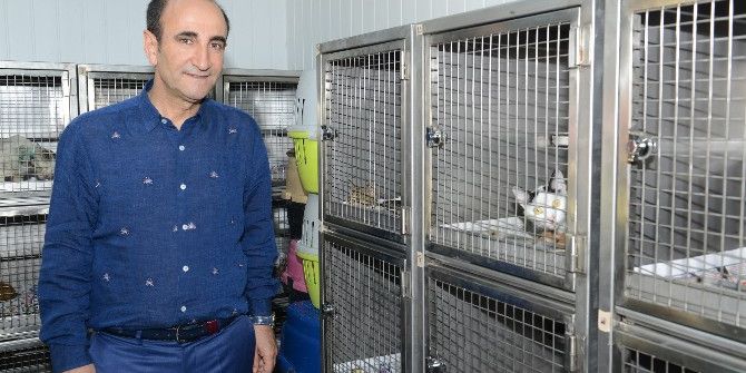 Yıldırım’da Sokak Hayvanlarına Sıcak Yuva