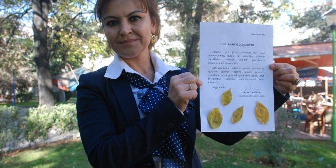 Sonbahar Yapraklarının Süpürülmesinden Şikayetçi Oldu