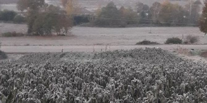 İznik Ovasını Kırağı Vurdu
