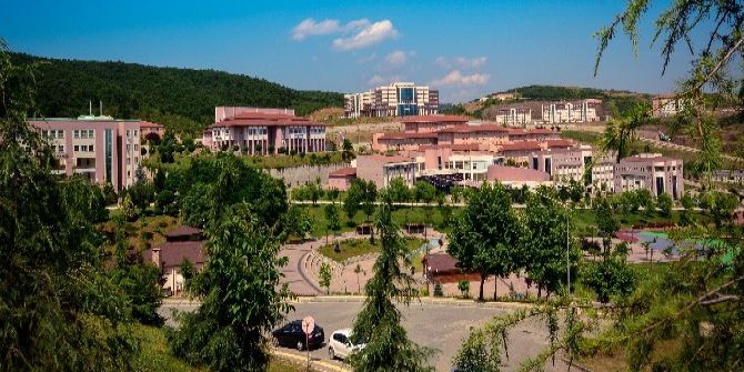 Düzce Üniversitesi Güzel Sanatlar Enstitüsü Kuruldu