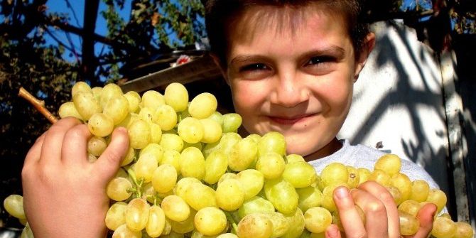 Bu Üzüm Salkımları Başka