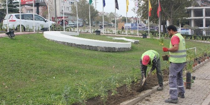 Turgutlu Çiçeklerle Renkleniyor