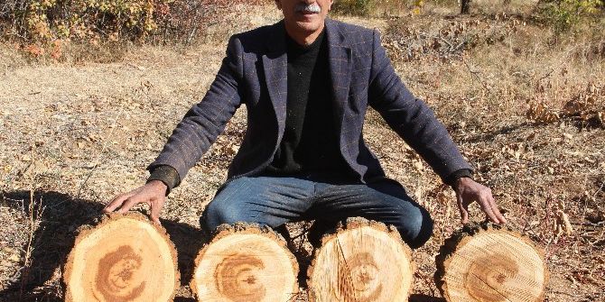 Kesilen Ağaçtan Ay Yıldız Figürü Çıktı