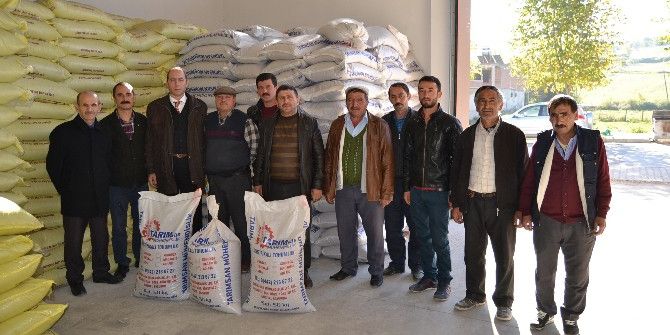 Alaçam’da Korunga Tohumu Dağıtıldı