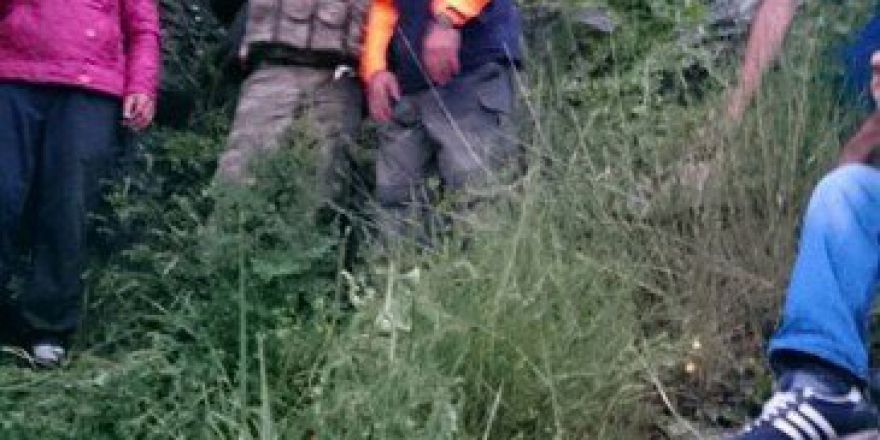 Kars’taki Ayı Saldırısı