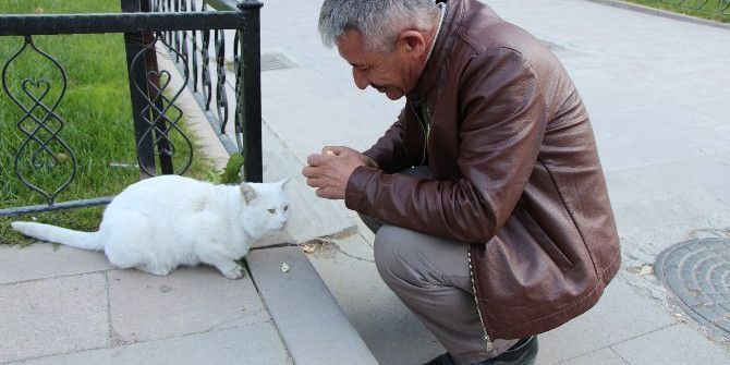 Asker Babası Çöpçü Simidini Aç Kediyle Paylaştı