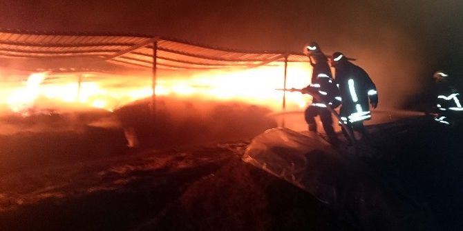 Büyükşehir İtfaiyesi Onlarca Hayvanı Yanmaktan Kurtardı