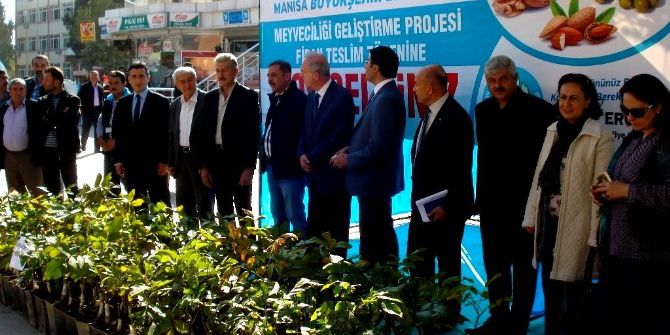 Sarıgöllü Üreticilere Ceviz Fidanı Dağıtıldı
