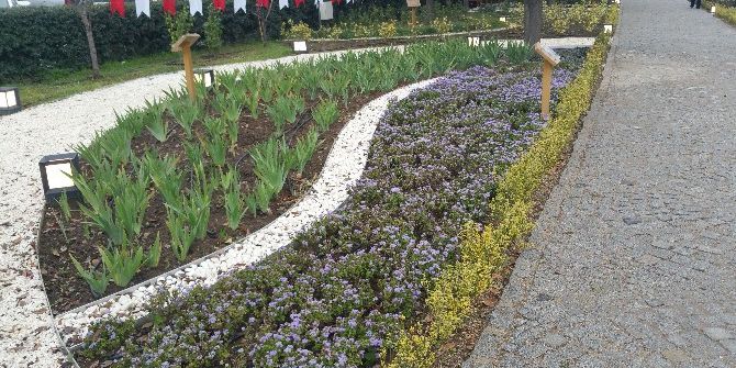 Kocaeli’de Tıbbi Ve Aromatik Bitkiler Bahçesi Açıldı