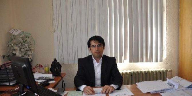 Vedaş’tan Elektrik Tellerine Değen Ağaçları Kesme Çalışması