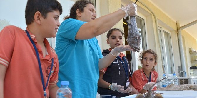Büyükşehir Belediyesi, 400 Öğrenciye Deniz Kaplumbağaları Eğitimi Veriyor