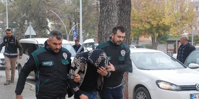 Bolu Polisinden Bonzai Satıcılarına Operasyon