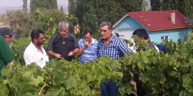 Torku Meyve Suyu, Sirke Ve Pekmek Üretim Tesisi Üretime Başladı