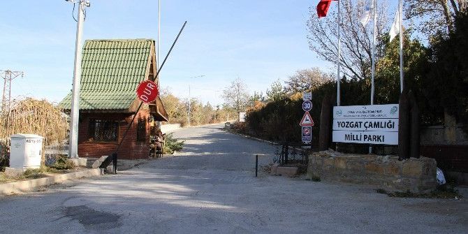 Yozgat Çamlık Milli Parkı’nı Belediye İşletecek